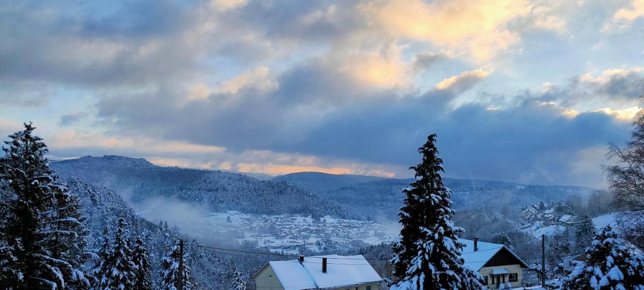 Au Chalet Bain Nordique Neuf Independant Calme Assure Haselbourg Exteriér fotografie